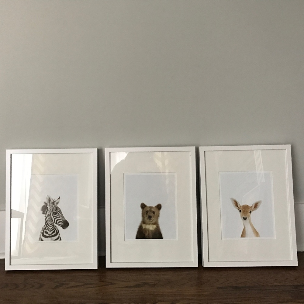 Nursery art: Baby Animals by Sharon Montrose 3PCS